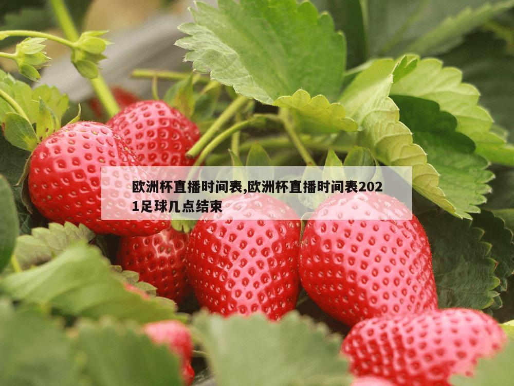 欧洲杯直播时间表,欧洲杯直播时间表2021足球几点结束