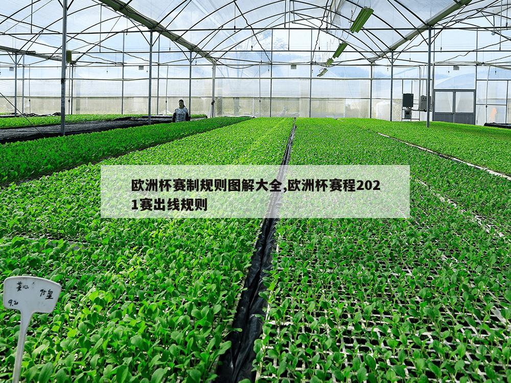 欧洲杯赛制规则图解大全,欧洲杯赛程2021赛出线规则