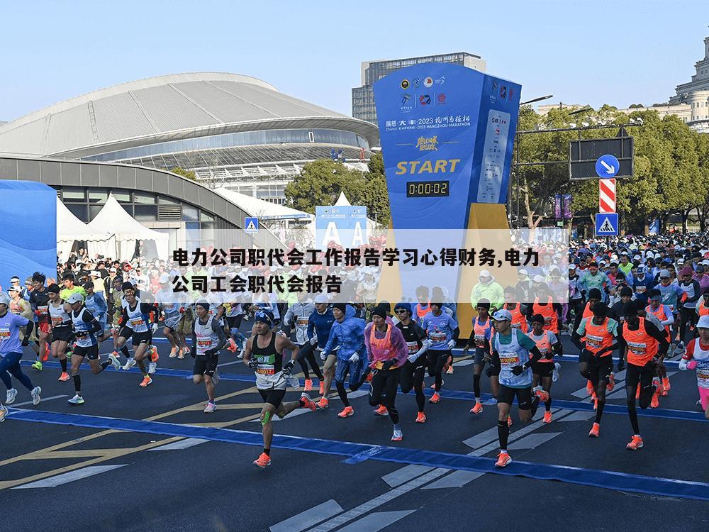 电力公司职代会工作报告学习心得财务,电力公司工会职代会报告