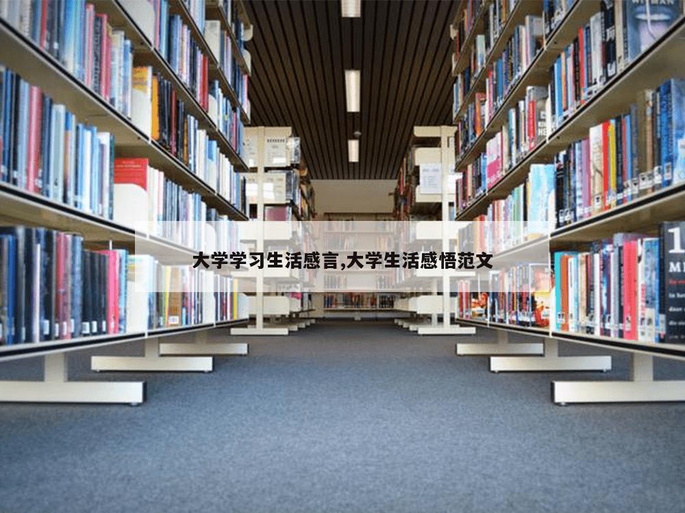 大学学习生活感言,大学生活感悟范文