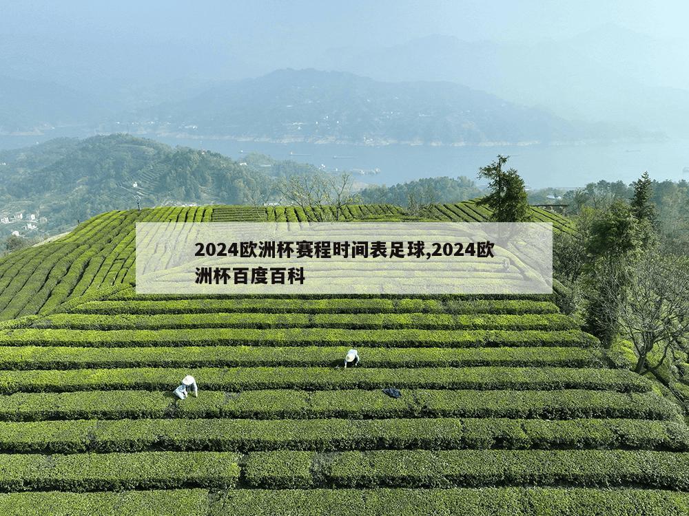 2024欧洲杯赛程时间表足球,2024欧洲杯百度百科