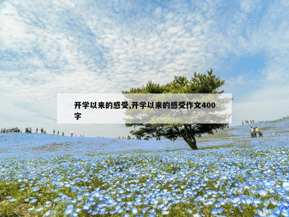 开学以来的感受,开学以来的感受作文400字