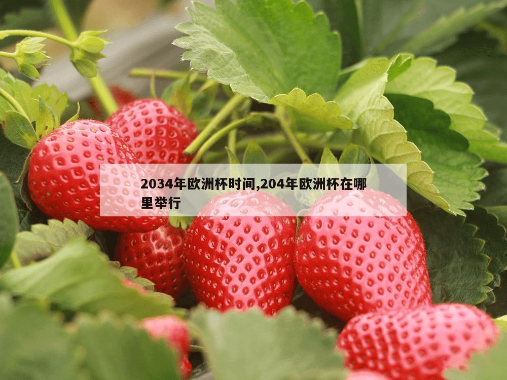 2034年欧洲杯时间,204年欧洲杯在哪里举行