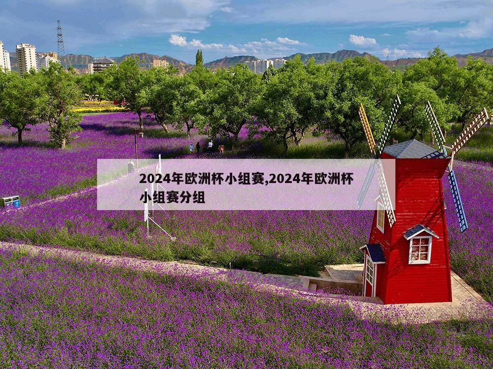 2024年欧洲杯小组赛,2024年欧洲杯小组赛分组